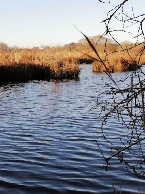 Gite A Saint Andre Des Eaux Exterior foto