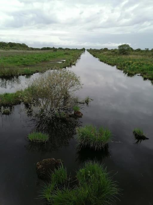 Gite A Saint Andre Des Eaux Exterior foto